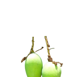 Mango Pickle