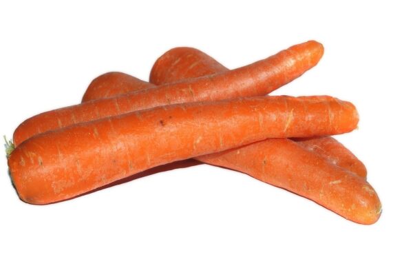 carrot, carrots, nature, plant, isolated
